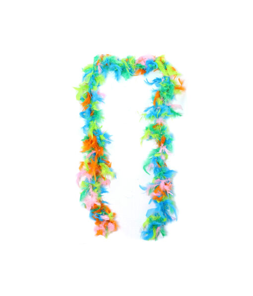 Rainbow Mix Feather Boa