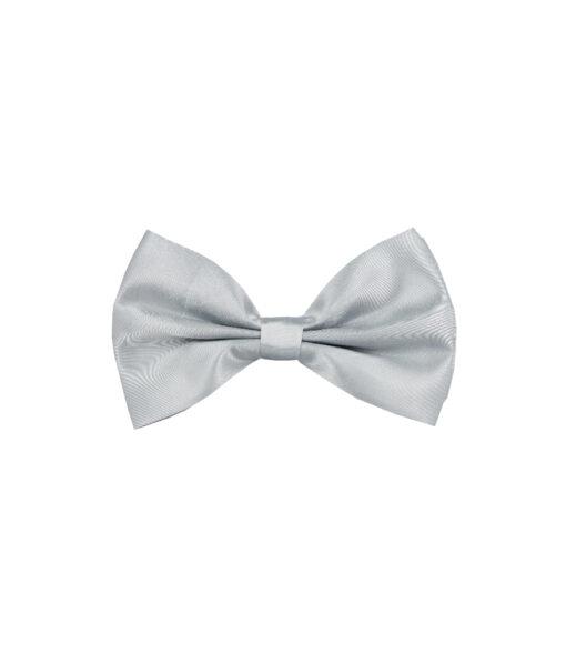 Silver Bow Tie