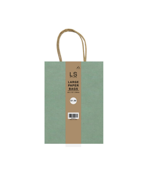 Large paper bag with pastel mint colour coming in pack of 2