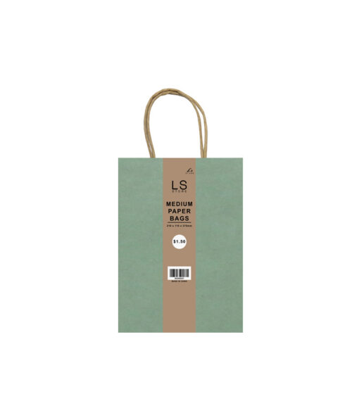 Medium paper bag with pastel mint colour coming in pack of 3