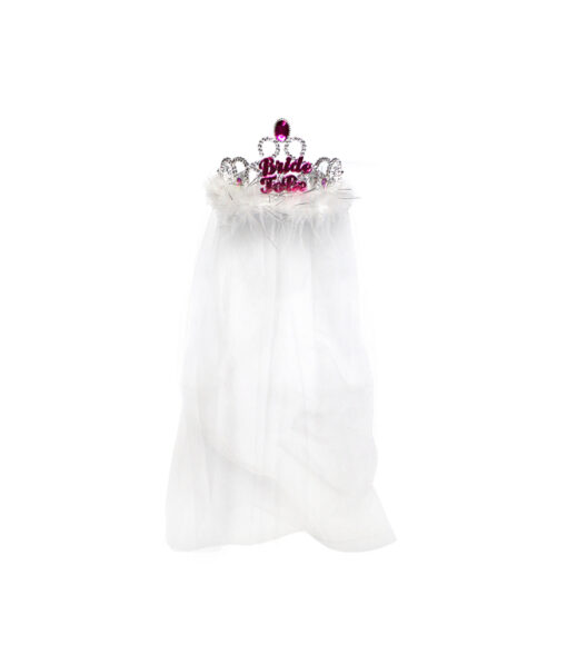 Bride to be tiara with veil