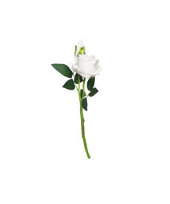 White artificial rose head in size of 36cm