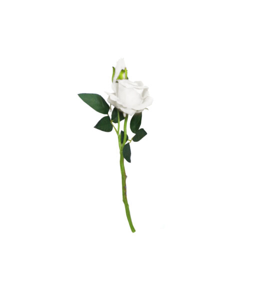 White artificial rose head in size of 36cm