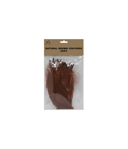 Natural brown feathers in pack of 20