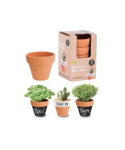 Terracotta mini pots in brick red-orange colour coming in pack of 3