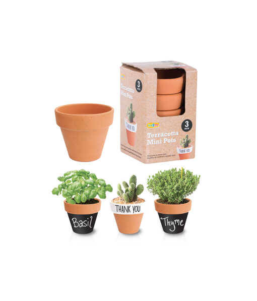 Terracotta mini pots in brick red-orange colour coming in pack of 3