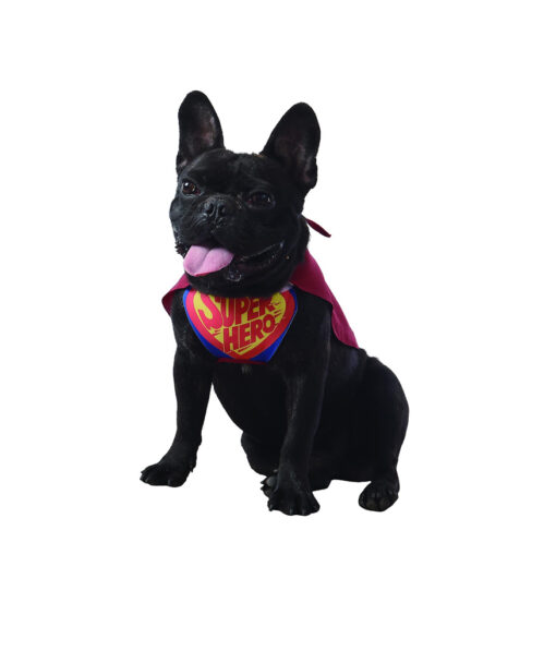 Superhero dog Halloween costume with red cape