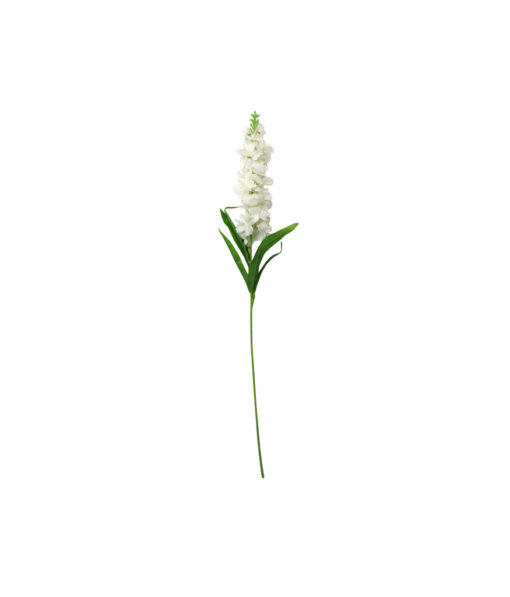 Single delphinium in white colour and length of 90cm