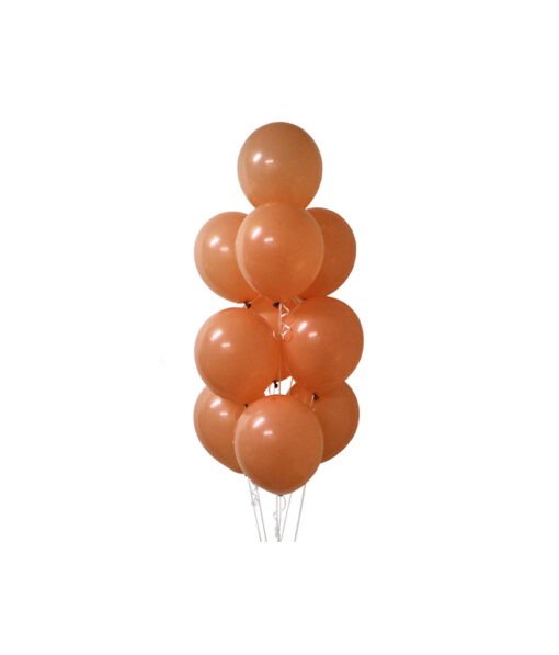 Coco Morandi Latex Balloons 12inch 20pk