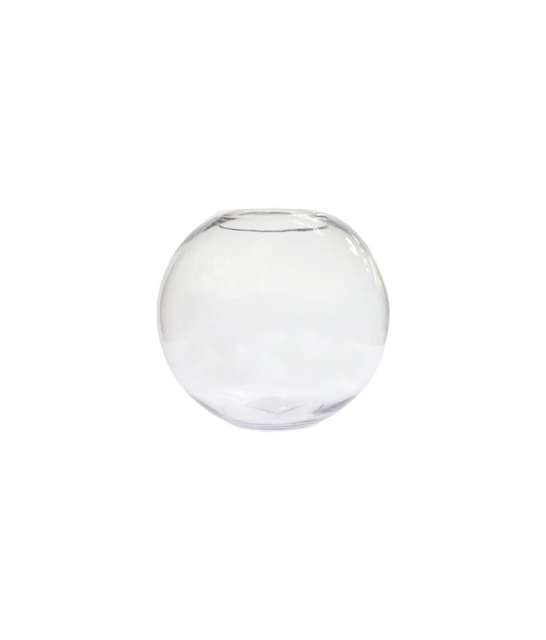 Round Glass Fish Bowl 13cm – LookSharpStore