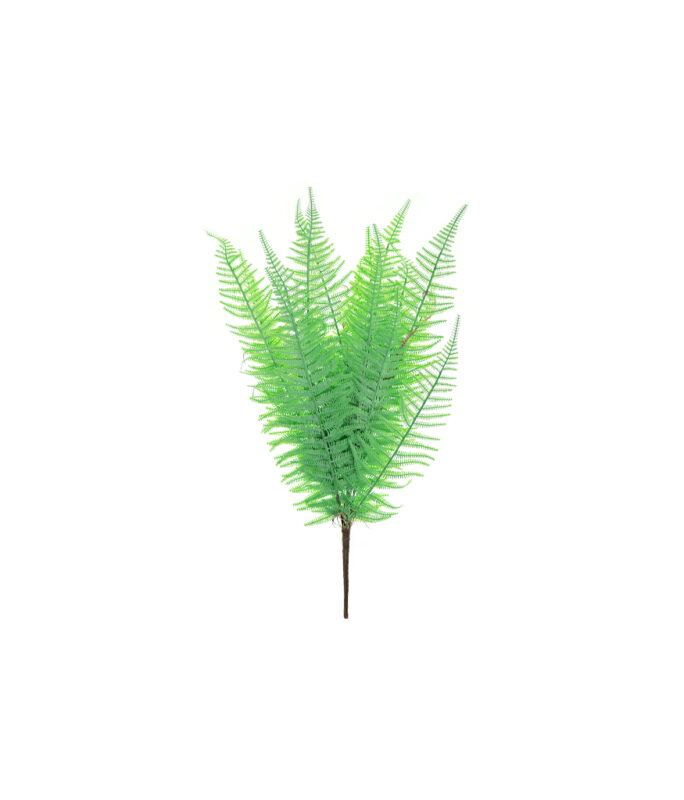 light-green-colour-fern-65cm-looksharpstore