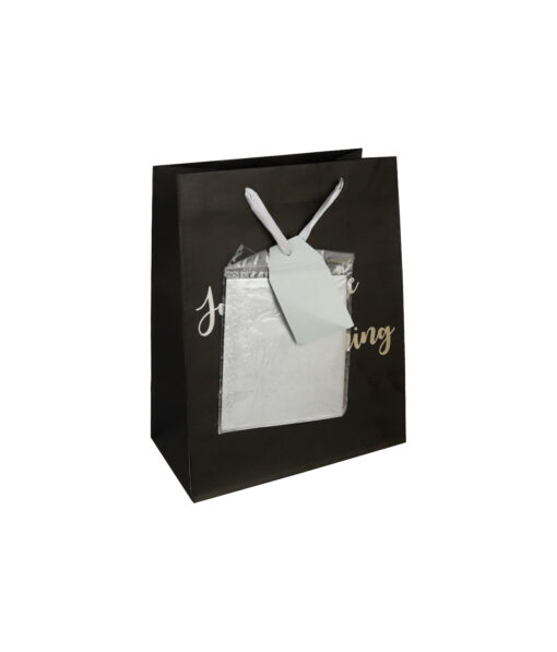 Black & Silver Just A Little Gift Bag Set 27cm