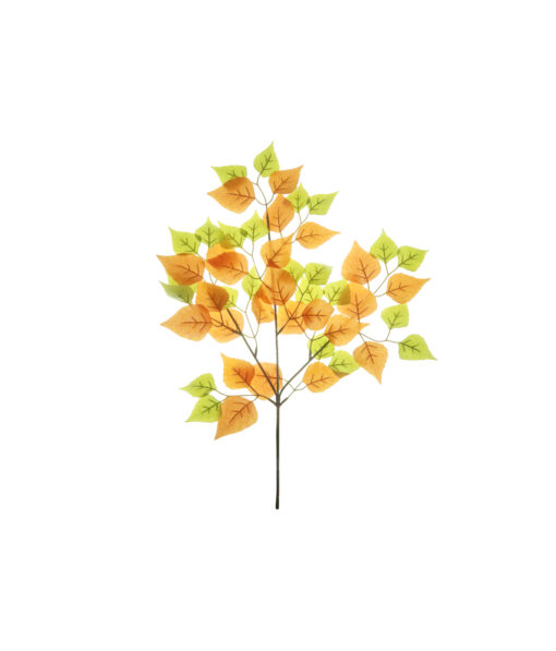 Orange Silk Birch Stem 60cm