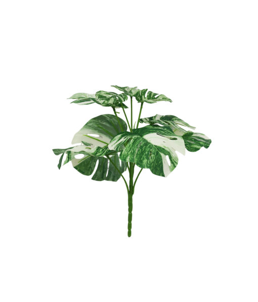 Striated Monstera 9 Head 28cm