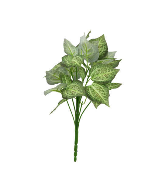 Scindapsus Striped Leaf 9 Head 31cm