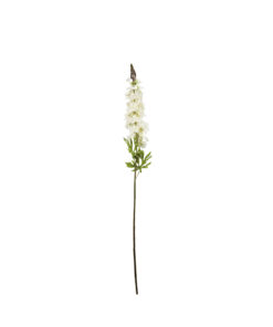 White Delphinium Flower 31 Stems 105cm