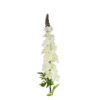 White Delphinium Flower 31 Stems 105cm