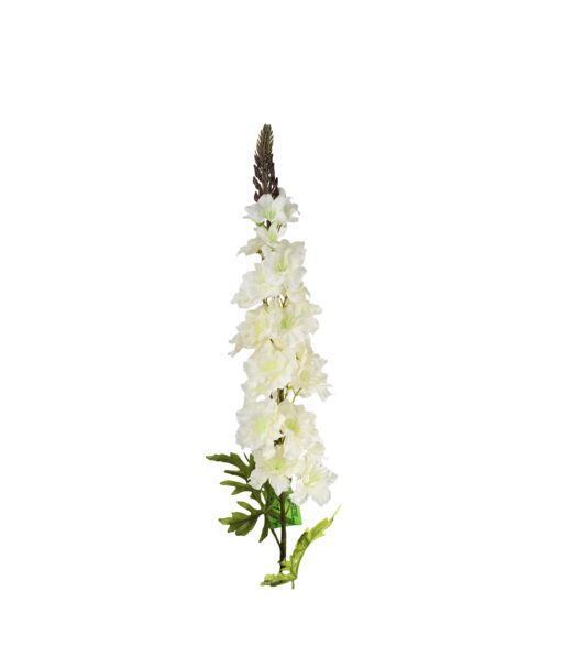 White Delphinium Flower 31 Stems 105cm