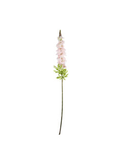 Light Pink Delphinium Stems 31 Flowers 105cm