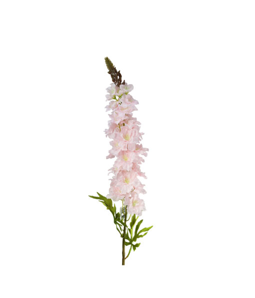 Light Pink Delphinium Stems 31 Flowers 105cm