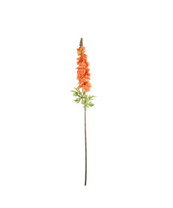 Orange Delphinium Stems 31 Flowers 105cm