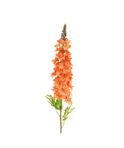 Orange Delphinium Stems 31 Flowers 105cm