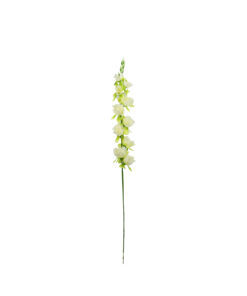 White Gladiolus Bush Flower 7 Head 77cm