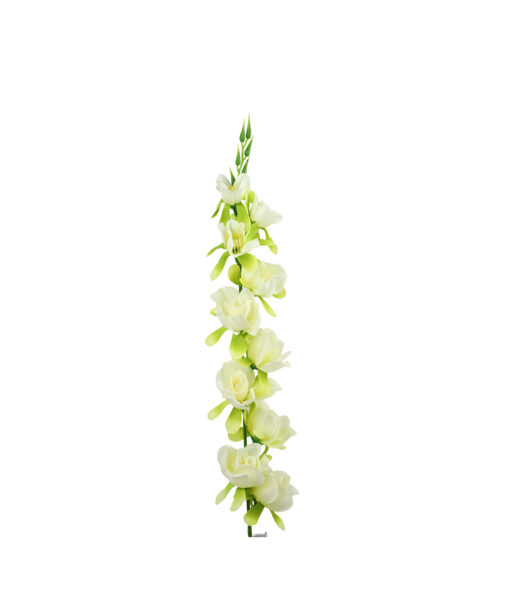 White Gladiolus Bush Flower 7 Head 77cm