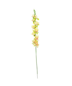 Pastel Yellow Gladiolus Bush Flower 7 Head 77cm