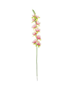 Peach Gladiolus Bush Flowers 7 Head 77cm