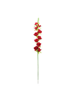 Red Gladiolus Bush Flower 7 Head 77cm