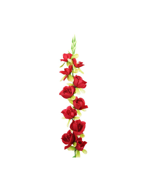 Red Gladiolus Bush Flower 7 Head 77cm