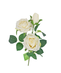 Cream Rose Flower With 2 Heads and 1 Bud 59cm