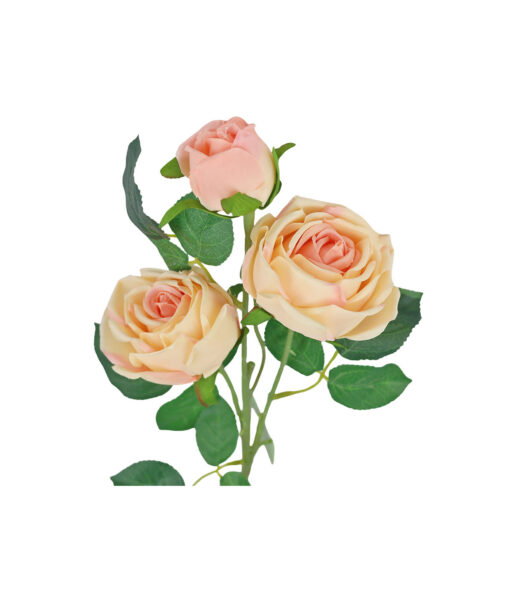 Champagne Rose Flower With 3 Heads 58cm