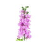 Purple Delbine Flower Single 80cm