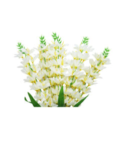 White Orchid Flower 5 Branch 67cm