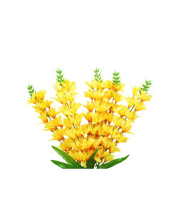 Yellow Orchid Flower 5 Branch 67cm