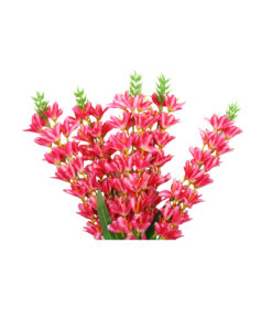 Hot Pink Orchid Flower 5 Branch 67cm