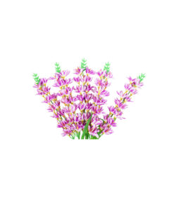 Light Purple Orchid Flower 5 Branch 67cm