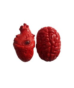 halloween fake decoration heart & brain prop