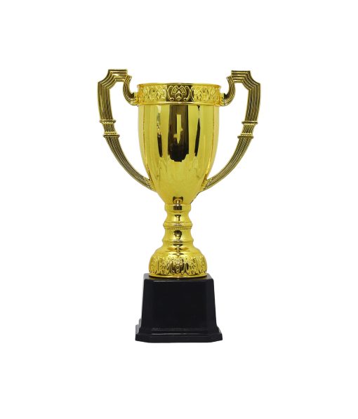 Gold Large Cup Trophy 15 x 34cm