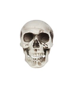 halloween skull decoration