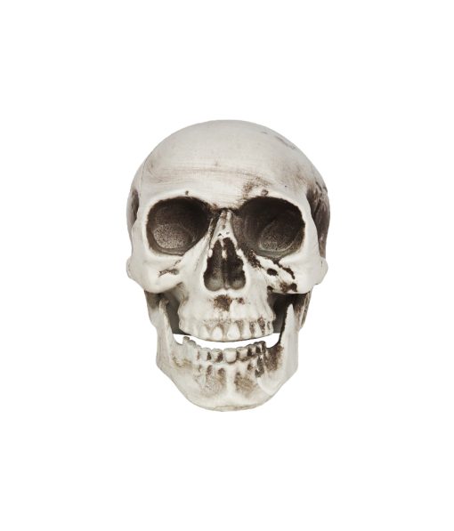 halloween skull decoration