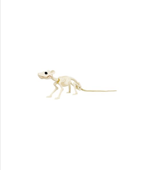 skeleton rat halloween decoration