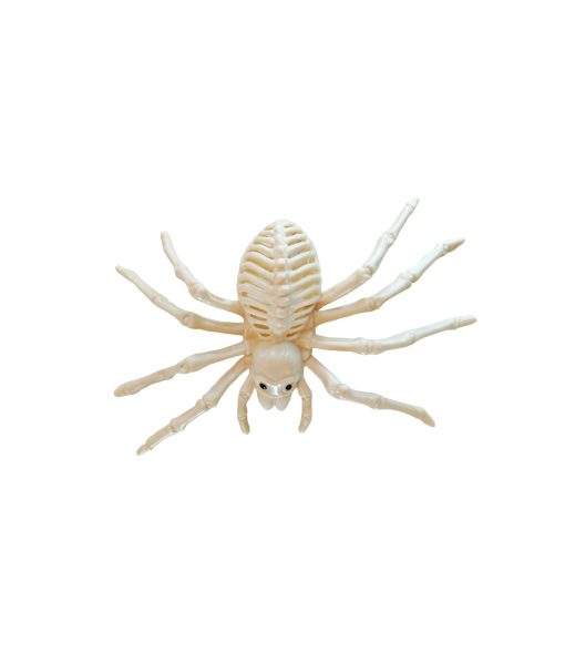 skeleton spider halloween decoration