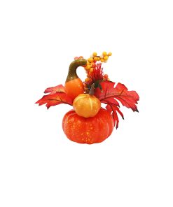 Autumn Harvest Pumpkin Potted 18 x 16cm 30g