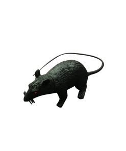 black plastic rat