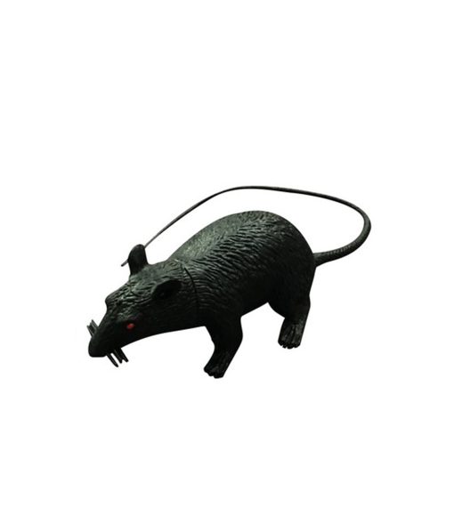 black plastic rat