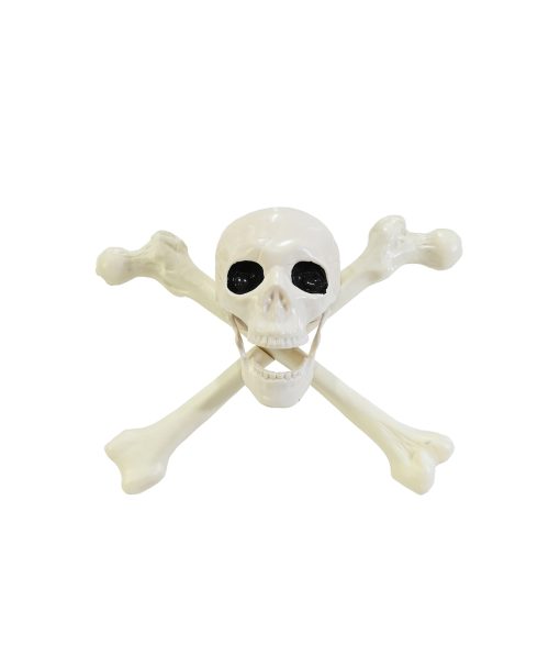 Skull With Crossbones 30.5cm