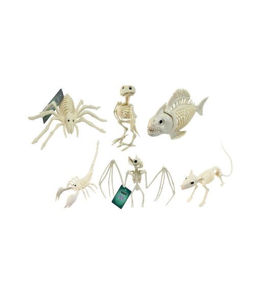 Skeleton Creatures Assorted